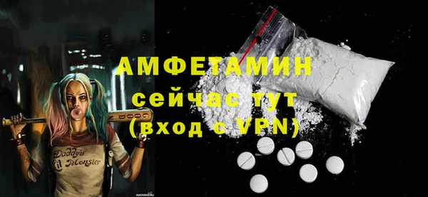гидра Покачи