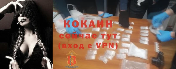 гидра Покачи