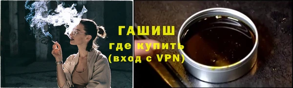 гидра Покачи