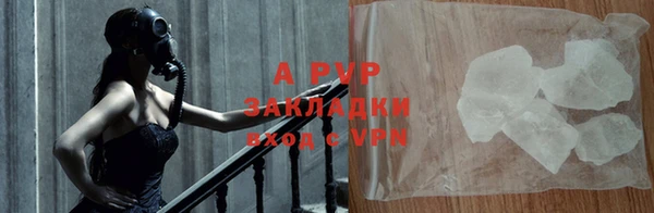 гидра Покачи