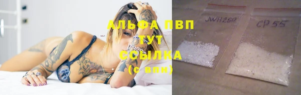 гидра Покачи