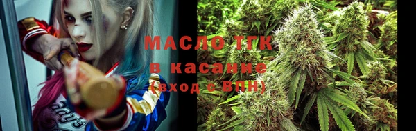 гидра Покачи