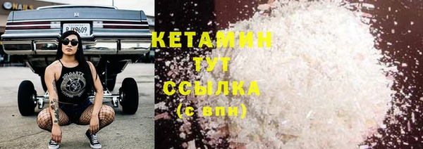 гидра Покачи