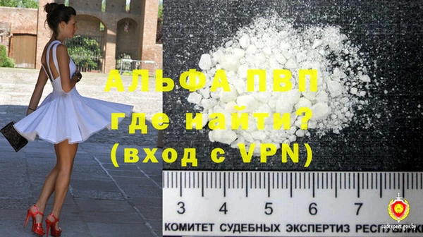 гидра Покачи