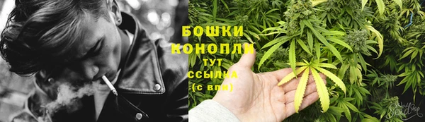 гидра Покачи