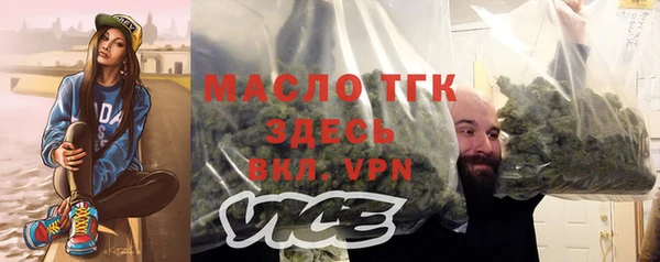 гидра Покачи