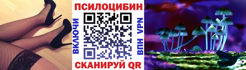 Галлюциногенные грибы Psilocybe  Купить  Аксай 