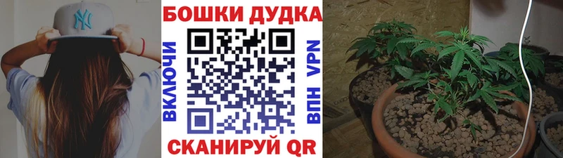 Купить закладки  Аксай  МАРИХУАНА Amnesia 
