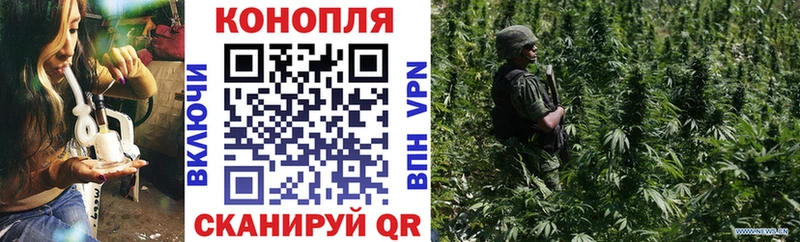 Канабис семена Аксай